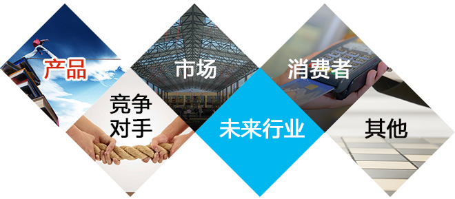 主要调查分析内容 主要调查分析内容